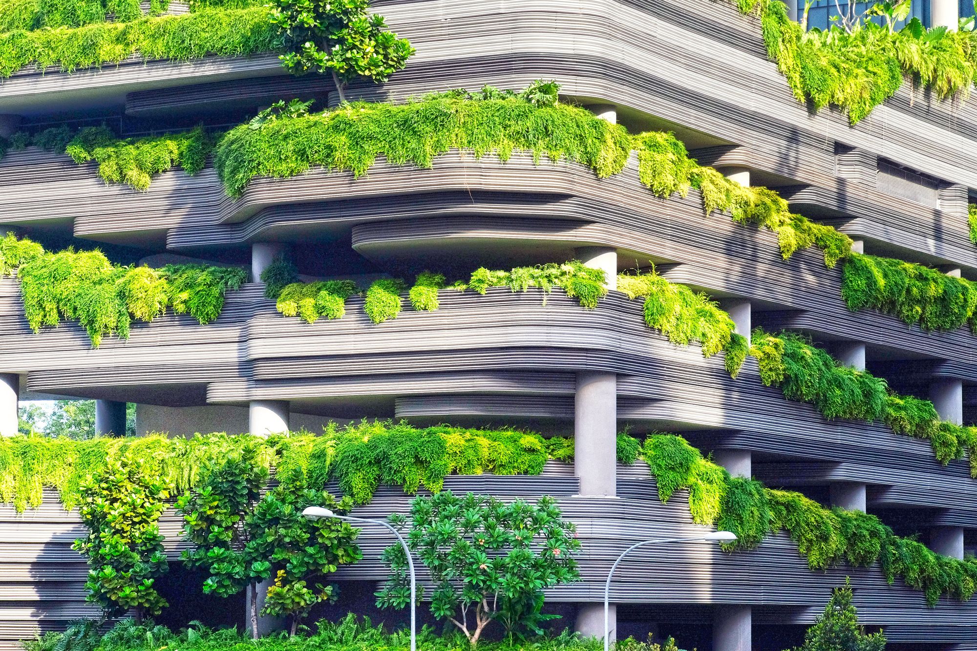 modern urban building with abundant plant life spilling over patio edges and down the side of the building