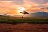 A climate justice plan to achieve "net zero" by 2050