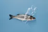 One step closer to a global plastics treaty