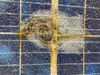Australian company transforms coal plant into clean energy hub
