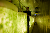 Circular land-based shrimp, fish, and seaweed farms