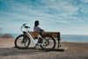 ebikes