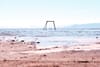 LA TIMES: California's Salton Sea has enough lithium to power 382 million EVs