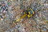 New EU Ecodesign rules improve product repairability & sustainability